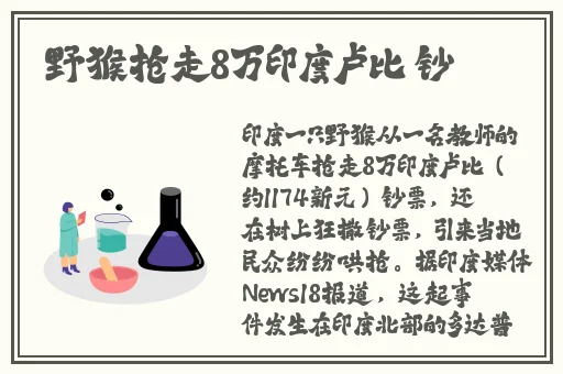 综合一和综合二